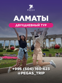 Двухдневный тур в Алматы