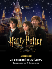 Harry Potter and wizards of Tynda Music